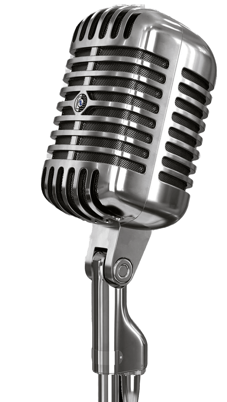 Pro Show Microphone